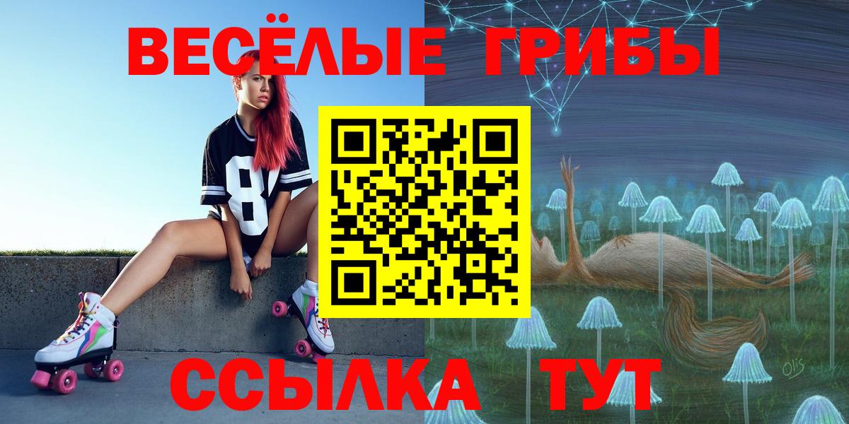 Псилоцибиновые грибы мицелий Минусинск