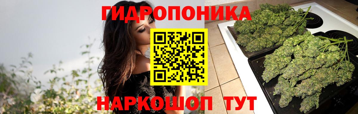 Бошки марихуана Bruce Banner  Марихуана тримм  Минусинск  Вход с VPN  Марихуана THC 21%  Каннабис гибрид 
